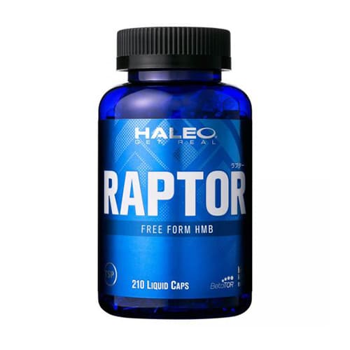 HALEO RAPTOR